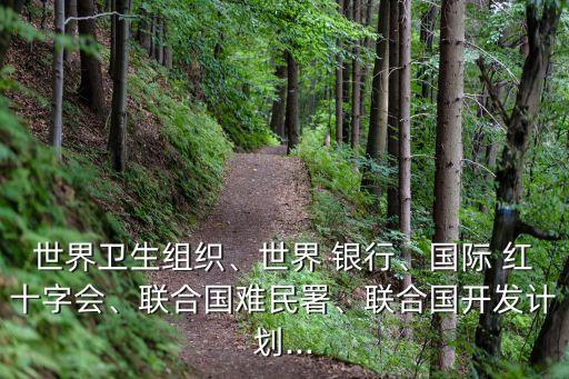 世界衛(wèi)生組織、世界 銀行、國際 紅十字會、聯(lián)合國難民署、聯(lián)合國開發(fā)計劃...