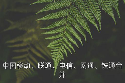 中國移動(dòng)、聯(lián)通、電信、網(wǎng)通、鐵通合并