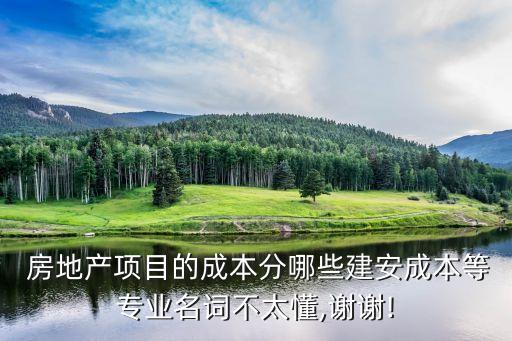  房地產(chǎn)項(xiàng)目的成本分哪些建安成本等專(zhuān)業(yè)名詞不太懂,謝謝!