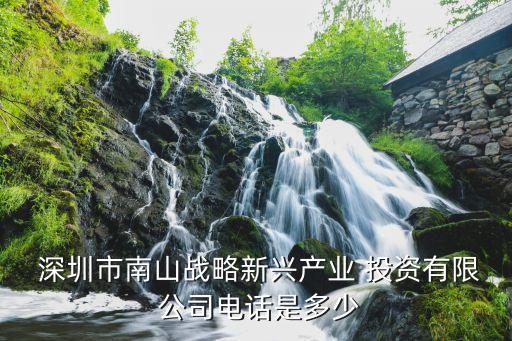  深圳市南山戰(zhàn)略新興產業(yè) 投資有限 公司電話是多少