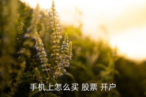 東方財(cái)富股票開戶流程