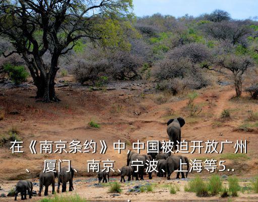 在《南京條約》中,中國被迫開放廣州、 廈門、南京、寧波、上海等5...