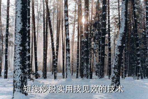 短線炒股實(shí)用技見(jiàn)效的技術(shù)