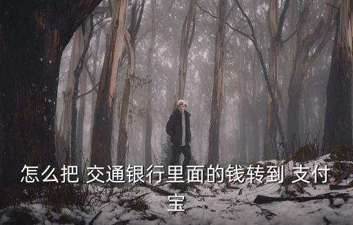怎么把 交通銀行里面的錢(qián)轉(zhuǎn)到 支付寶