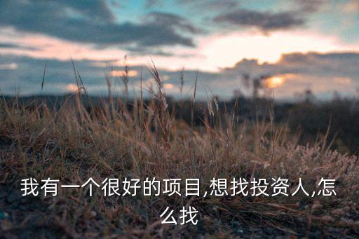 我有一個很好的項(xiàng)目,想找投資人,怎么找