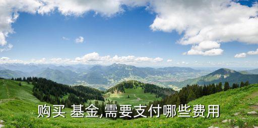 購(gòu)買(mǎi) 基金,需要支付哪些費(fèi)用