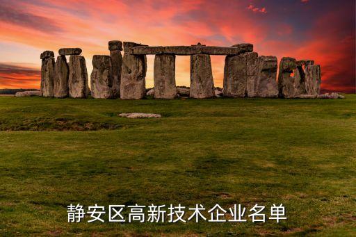 上海金安國(guó)紀(jì)科技股份有限公司,金安國(guó)紀(jì)科技股份有限公司怎么樣