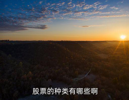  股票的種類(lèi)有哪些啊