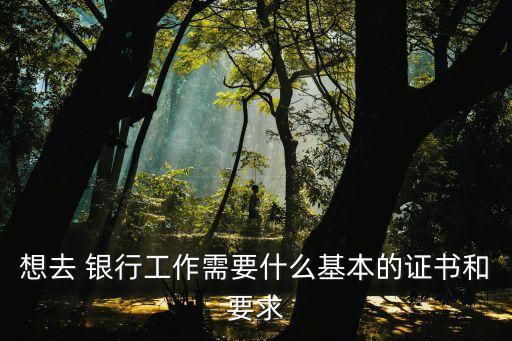 想去 銀行工作需要什么基本的證書(shū)和要求