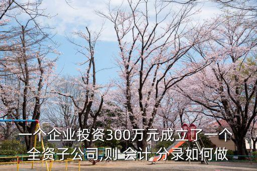 一個企業(yè)投資300萬元成立了一個 全資子公司,則 會計 分錄如何做