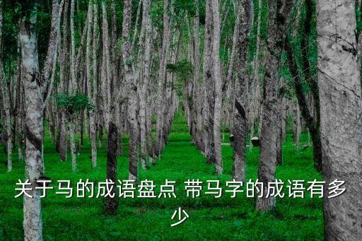 關(guān)于馬的成語盤點(diǎn) 帶馬字的成語有多少
