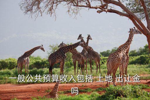一般公共預算收入包括 土地 出讓金嗎