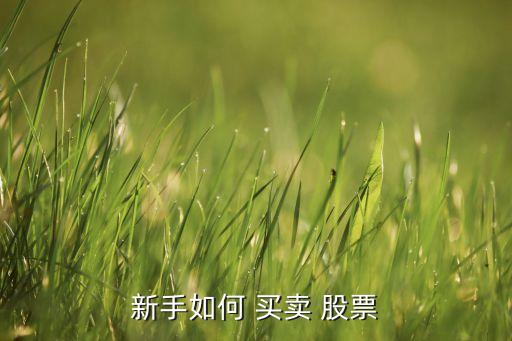 新手如何 買(mǎi)賣(mài) 股票