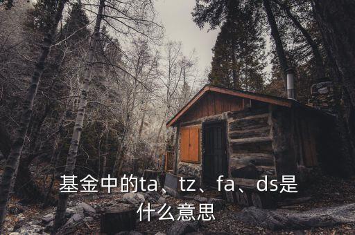 基金中的ta、tz、fa、ds是什么意思