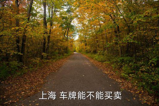  上海 車(chē)牌能不能買(mǎi)賣(mài)
