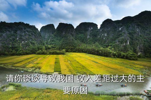 請(qǐng)你談?wù)剬?dǎo)致我國 收入差距過大的主要原因