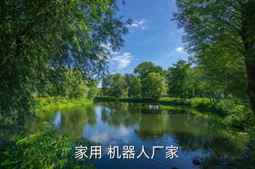 家用 機(jī)器人廠(chǎng)家