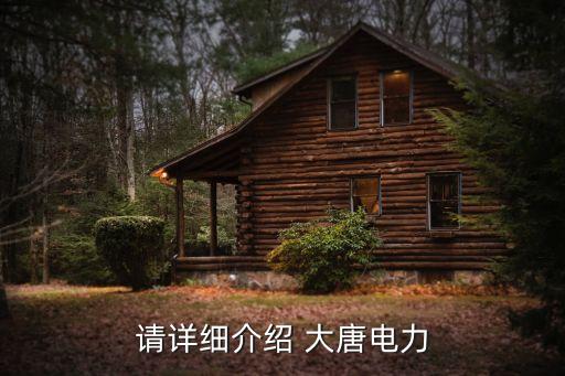 請詳細介紹 大唐電力