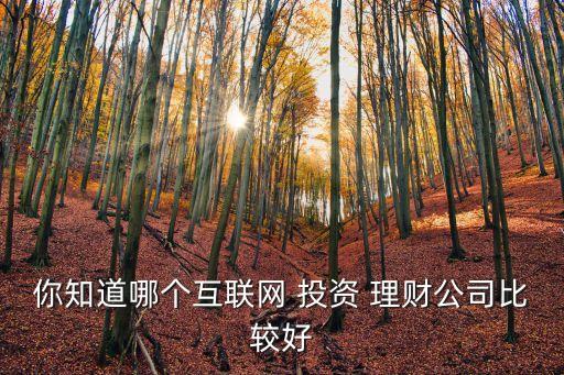 我想投資與理財網,投資與理財論文3000字
