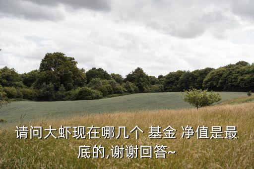 請問大蝦現(xiàn)在哪幾個(gè) 基金 凈值是最底的,謝謝回答~