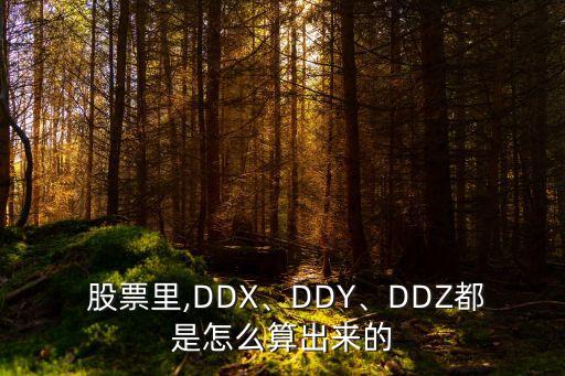  股票里,DDX、DDY、DDZ都是怎么算出來的