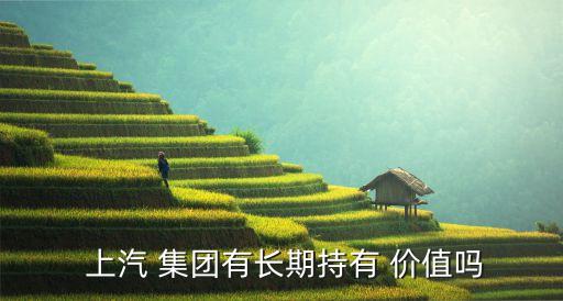  上汽 集團(tuán)有長期持有 價(jià)值嗎