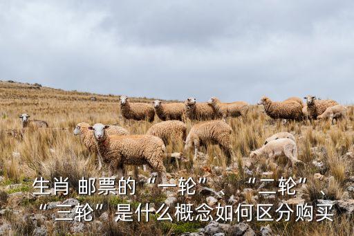  生肖 郵票的“一輪”、“二輪”、“ 三輪”是什么概念如何區(qū)分購(gòu)買(mǎi)
