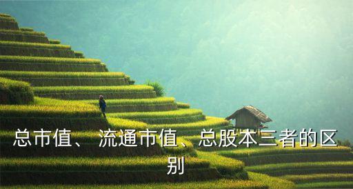 總市值、 流通市值、總股本三者的區(qū)別
