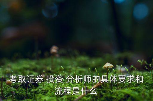 國際注冊投資分析師報(bào)名條件,數(shù)據(jù)分析師 考試報(bào)名條件