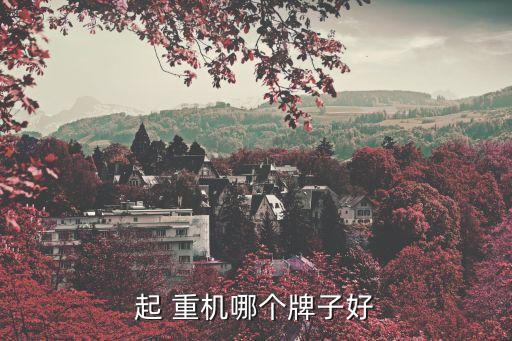 起 重機(jī)哪個牌子好