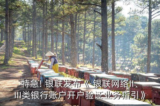 特急! 銀聯(lián)發(fā)布《 銀聯(lián)網(wǎng)絡(luò)II、III類銀行賬戶開戶驗(yàn)證業(yè)務(wù)指引》