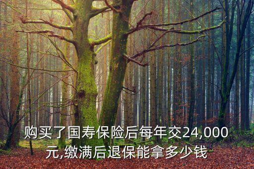 購(gòu)買(mǎi)了國(guó)壽保險(xiǎn)后每年交24,000元,繳滿后退保能拿多少錢(qián)