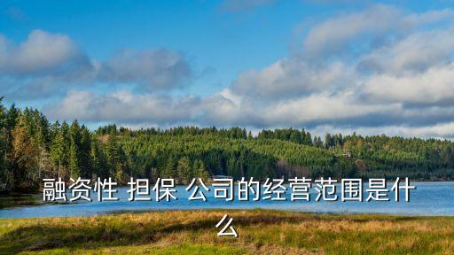 融資擔(dān)保公司屬于金融機構(gòu)嗎,中小企業(yè)融資擔(dān)保公司是金融機構(gòu)嗎