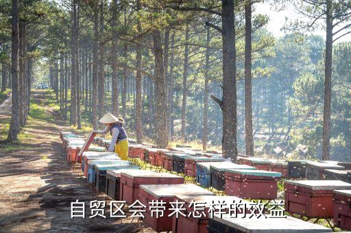  自貿區(qū)會帶來怎樣的效益