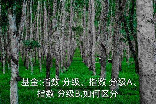  基金:指數(shù) 分級、指數(shù) 分級A、指數(shù) 分級B,如何區(qū)分