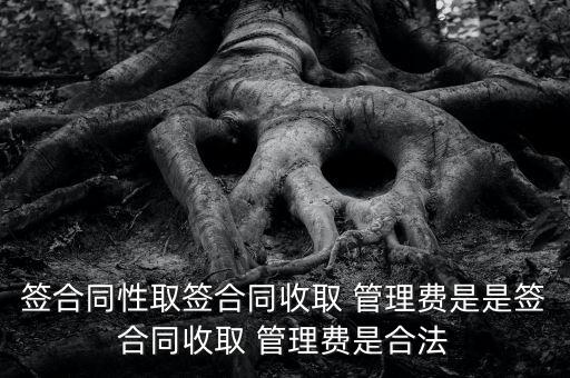 集團(tuán)管理費協(xié)議,村委會收取管理費協(xié)議
