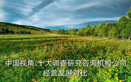 中國視角:十大調(diào)查研究咨詢機構公司經(jīng)營發(fā)展對比
