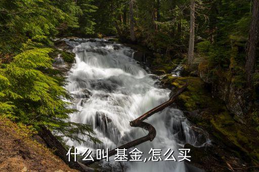 教你如何買(mǎi)基金,網(wǎng)上教買(mǎi)基金的可信嗎