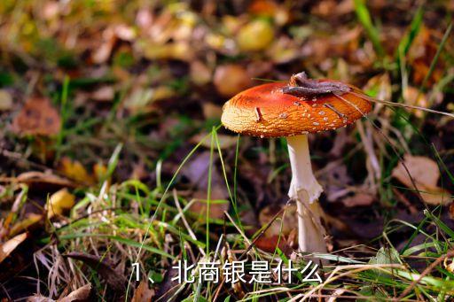1、北商銀是什么