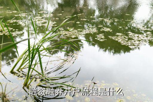 信用證券賬戶(hù)為證券公司,一家證券公司信用賬戶(hù)可以有幾個(gè)