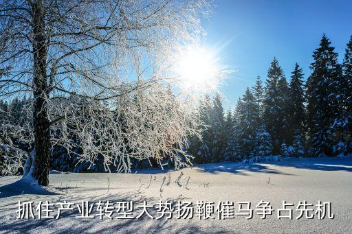 抓住產(chǎn)業(yè)轉型大勢揚鞭催馬爭占先機