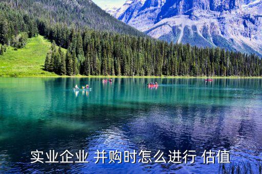 實(shí)業(yè)企業(yè) 并購(gòu)時(shí)怎么進(jìn)行 估值