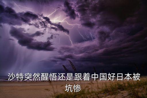沙特評(píng)價(jià)中國,沙特王儲(chǔ)評(píng)價(jià)中國