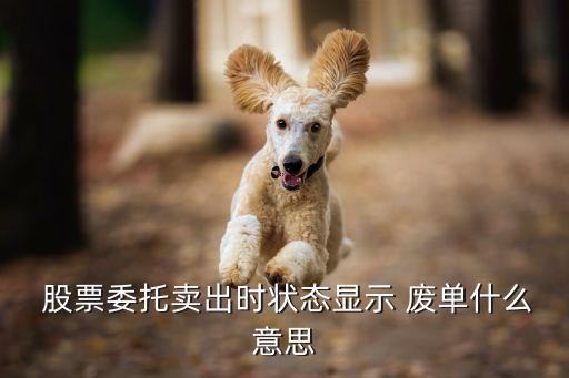  股票委托賣(mài)出時(shí)狀態(tài)顯示 廢單什么意思