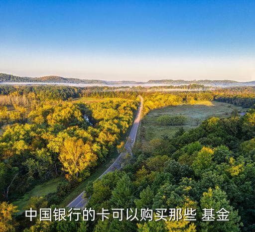中國(guó)銀行的卡可以購(gòu)買(mǎi)那些 基金