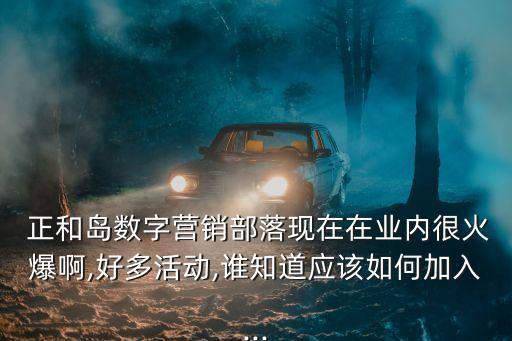  正和島數(shù)字營銷部落現(xiàn)在在業(yè)內(nèi)很火爆啊,好多活動(dòng),誰知道應(yīng)該如何加入...