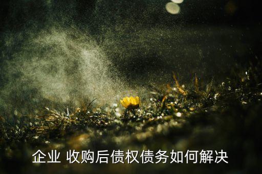 企業(yè) 收購后債權(quán)債務如何解決