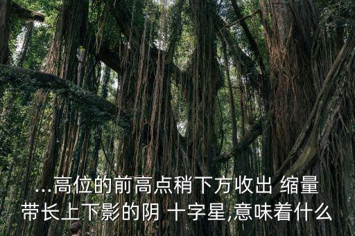 ...高位的前高點(diǎn)稍下方收出 縮量帶長上下影的陰 十字星,意味著什么