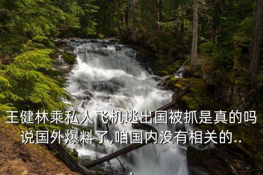 王健林乘私人飛機(jī)逃出國被抓是真的嗎說國外爆料了,咱國內(nèi)沒有相關(guān)的...