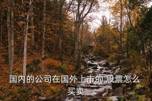 國(guó)內(nèi)的公司在國(guó)外上市的 股票怎么 買(mǎi)賣